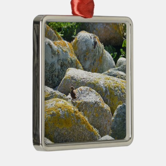 Wren Ornament Aus Metall (Rechts)