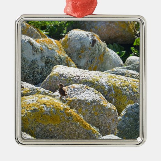 Wren Ornament Aus Metall (Vorne)