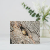 Wren Postcard. Postkarte (Stehend Vorderseite)