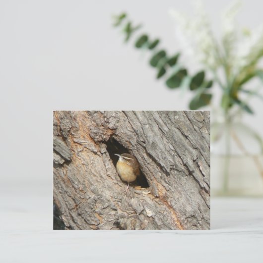 Wren Postcard. Postkarte (Stehend Vorderseite)