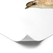 Wren Poster (Ecke)