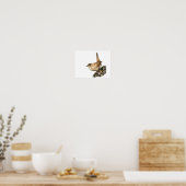 Wren Poster (Küche)