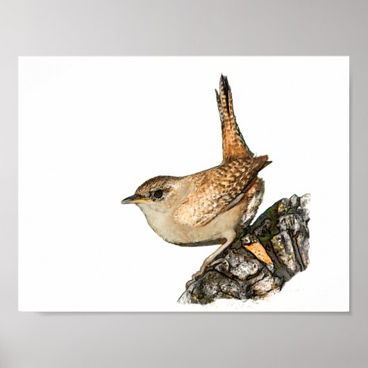 Wren Poster (Vorne)
