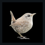Wren Poster (schwarz)<br><div class="desc">"Wren" eine originelle Skizze von MWright für Artwright. Erschwingliche moderne Kunst für Ihre Wände.</div>