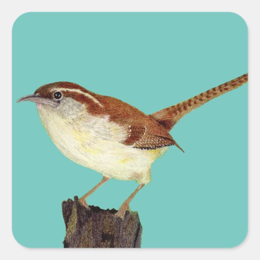 Wren Quadratischer Aufkleber (Vorderseite)
