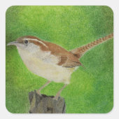 Wren Quadratischer Aufkleber (Vorderseite)