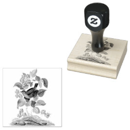 Wren Raspberry Vintag Scrapbooking Gummistempel