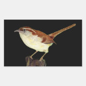 Wren Rechteckiger Aufkleber (Vorderseite)