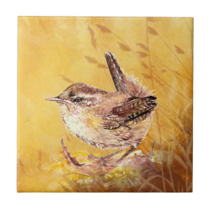 Wren Ristorante La Lanchetta Fliese