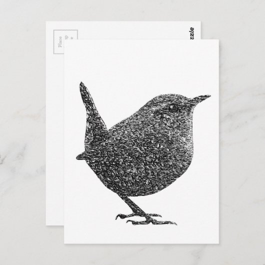Wren (Schwarz und Weiß) Postkarte (Vorne/Hinten)