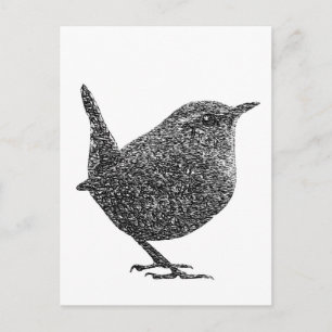 Wren (Schwarz und Weiß) Postkarte