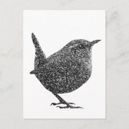 Wren (Schwarz und Weiß) Postkarte