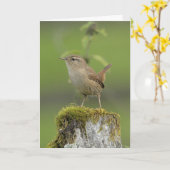 Wren Scotland Karte (Gelbe Blume)