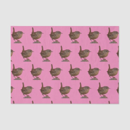 Wren Seidenpapier (Vorderseite)