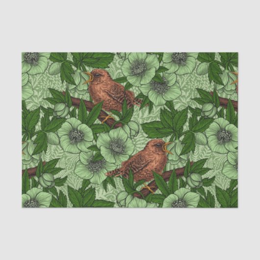 Wren und Hellebore, hellgrün Seidenpapier (Vorderseite)