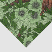 Wren und Hellebore, hellgrün Seidenpapier (Ausschnitt)