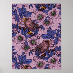 Wren und Hellebore, rosa und violett Poster