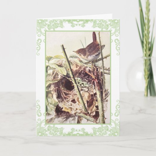 Wren Vintage Geburtstagskarte Karte (Vorderseite)