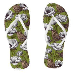 Wrens im weißen Anemonengarten Badesandalen