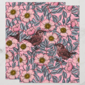 Wrens in den Rose (Vorne/Hinten)