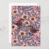 Wrens in den Rose (Vorne/Hinten)