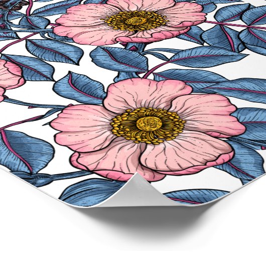 Wrens in den Rose Poster (Ecke)