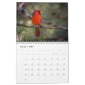 Wrens Kardinals Hummingbirds Woodpeckers Bird Kalender (Jan 2027)