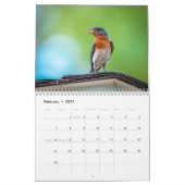 Wrens Kardinals Hummingbirds Woodpeckers Bird Kalender (Feb 2027)