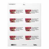 Wrestling Takedown (Vorne)