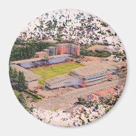 Wrexham AFC, Racecourse Ground Magnet