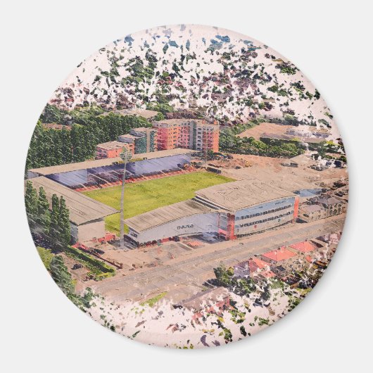 Wrexham AFC, Racecourse Ground Magnet (Vorne)