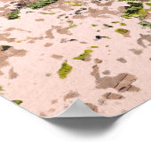 Wrexham AFC, Racecourse Ground Poster (Ecke)