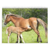 Wright-Korolla 2009-7-23 00118 Kalender (Titelbild)