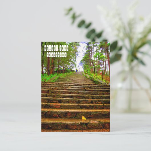 Wright Park von Baguio Postkarte (Stehend Vorderseite)