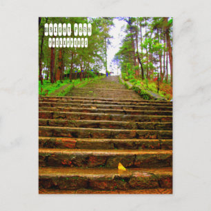 Wright Park von Baguio Postkarte