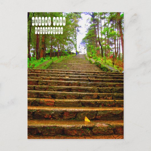 Wright Park von Baguio Postkarte (Vorderseite)