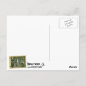 Wrightwood Postcard! Postkarte (Rückseite)