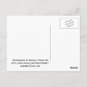 Wrigley Gebäude Postcard Postkarte (Rückseite)