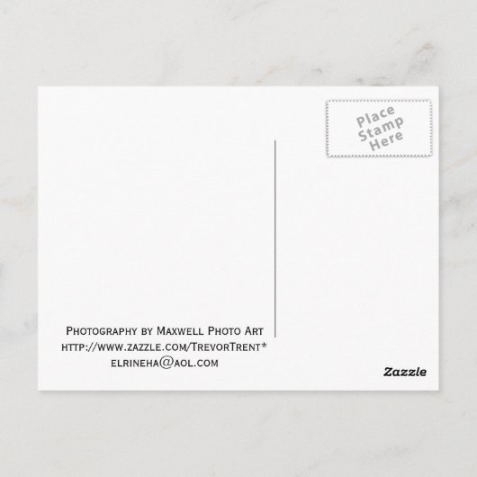 Wrigley Gebäude Postcard Postkarte (Rückseite)