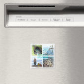 WS0014 Ozeanien, Samoa, Kühlschrank Magnet (In Situ (Geschirrspüler))