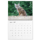 WTM Fotografie 2026 Kalender (11x14) (Mär 2027)