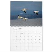 WTM Fotografie 2026 Kalender (11x14) (Feb 2027)