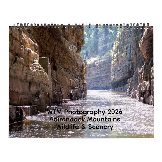 WTM Fotografie 2026 Kalender (11x14) (Titelbild)