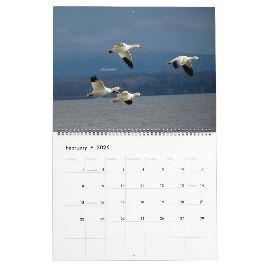 WTM Photography 2026 Calendar (11x14) Kalender (Feb 2026)