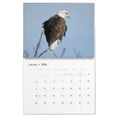 WTM Photography 2026 Calendar (11x14) Kalender (Jan 2026)