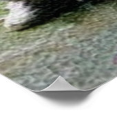 Wu Dang T'ai Ji Print Poster (Ecke)