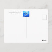 Wuhan Bat Postkarte (Rückseite)