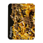 Wulfenit Mineral Foto Magnet (Vertikal)