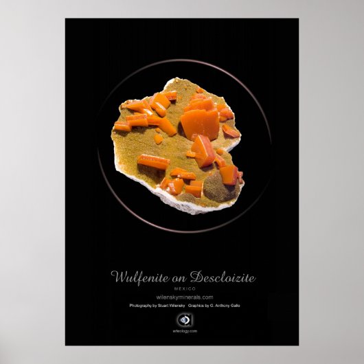 WULFENITE POSTER (Vorne)