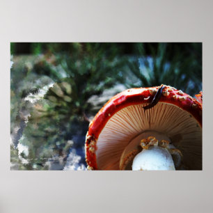 Wulstling Muscaria mit Schnecke Poster